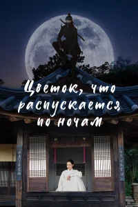 Цветок, что распускается по ночам Цветок, что распускается по ночам